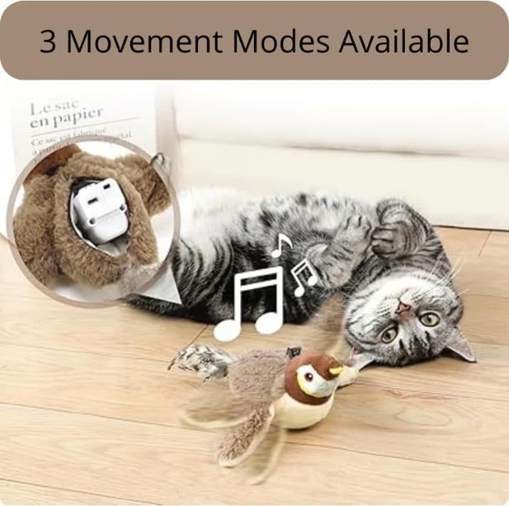 Cat’s New Obsession 🐱 Flying Bird Toy!