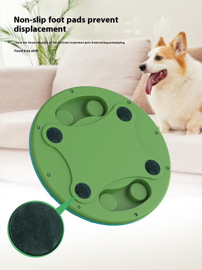 Pet Puzzle Feeder Toy