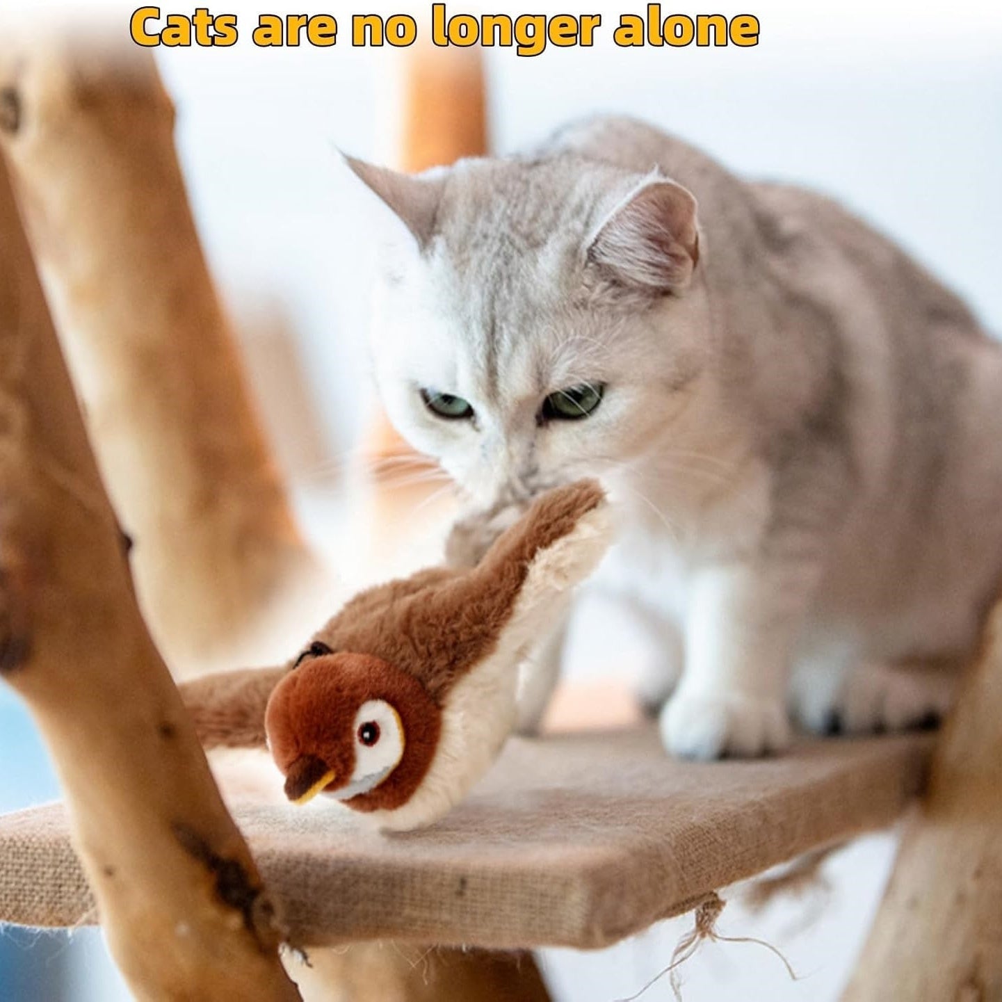Cat’s New Obsession 🐱 Flying Bird Toy!